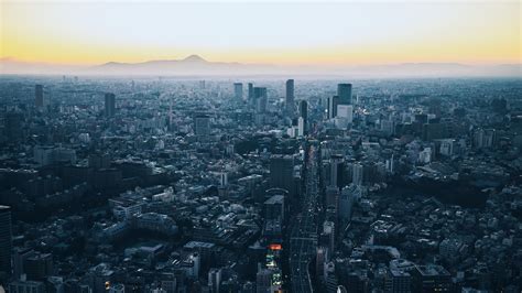 日本摩天大樓 夜来香